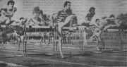 0012-1973-110hsuominitrofeourigo.jpg